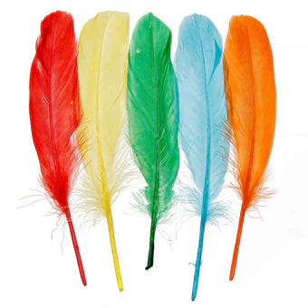 Plumas