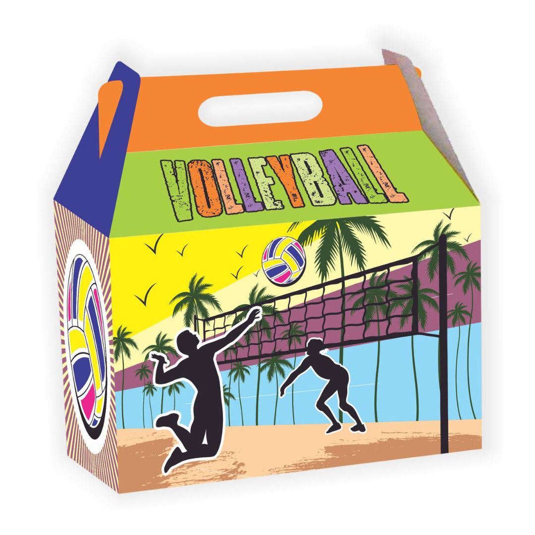 CAJA SORPRESA VOLLEYBALL (x3 UNIDADES)