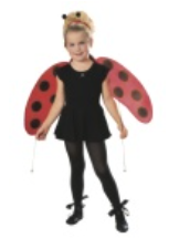Ladybug Accessory Kit