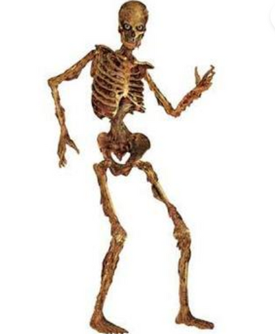 Halloween Jointed Skeleton 6ft (x1u)