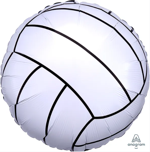 18" CHAMPIONSHIP VOLLEYBALL