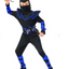 Blue Ninja Kids Costume