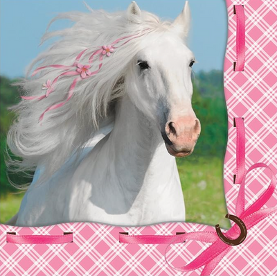 Horse Heart Beverage Napkins (x16u)