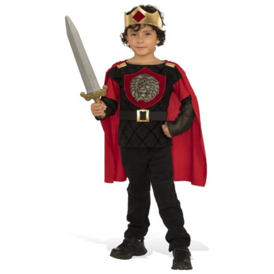 Little Knight Kids Costume