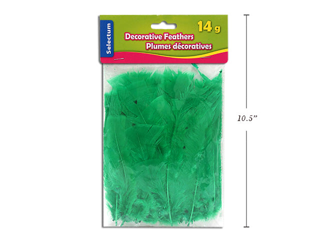 DECORACTIVE FEATHER DK GREEN LARGE 14G/PACK