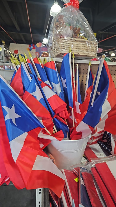 Mediana Bandera Puerto Rico (12"x18")